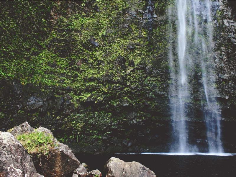 sudoku puzzle bundle